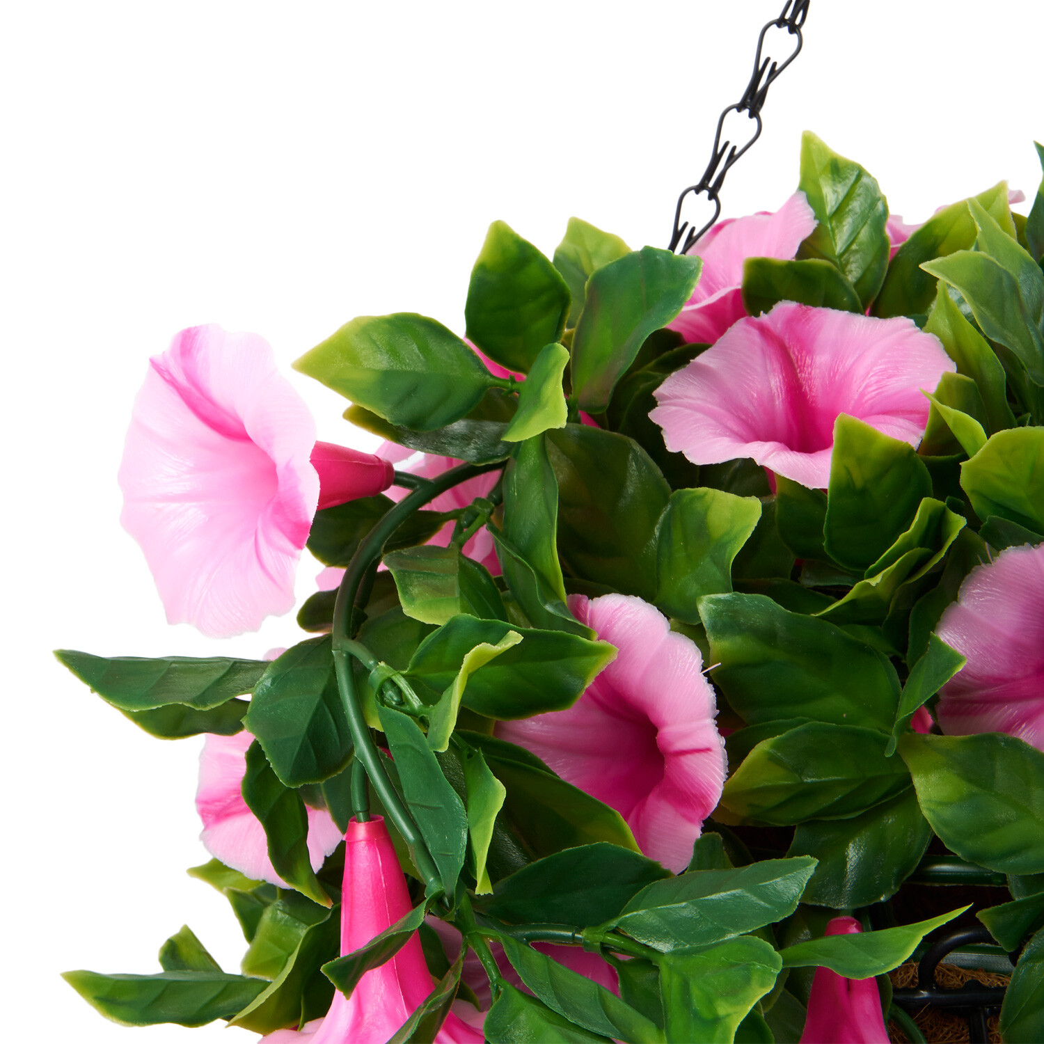 Petunias Hanging Basket - Pink Image 3