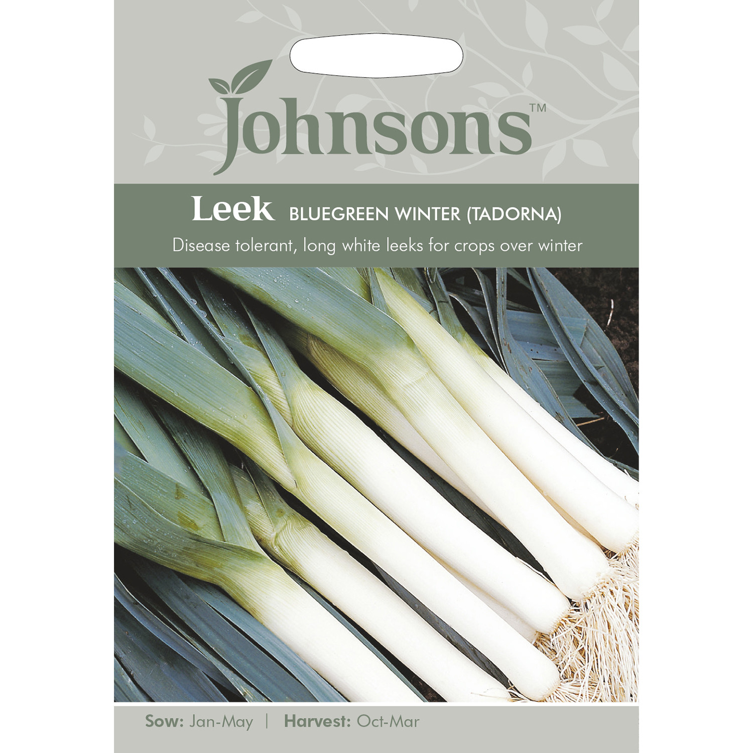 Johnsons Pack of Leek Bluegreen Winter Tadorna Seeds Image 1
