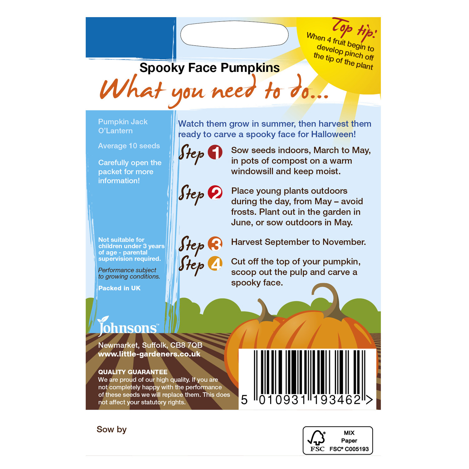 Johnsons Little Gardeners Pumpkin Seeds Image 2