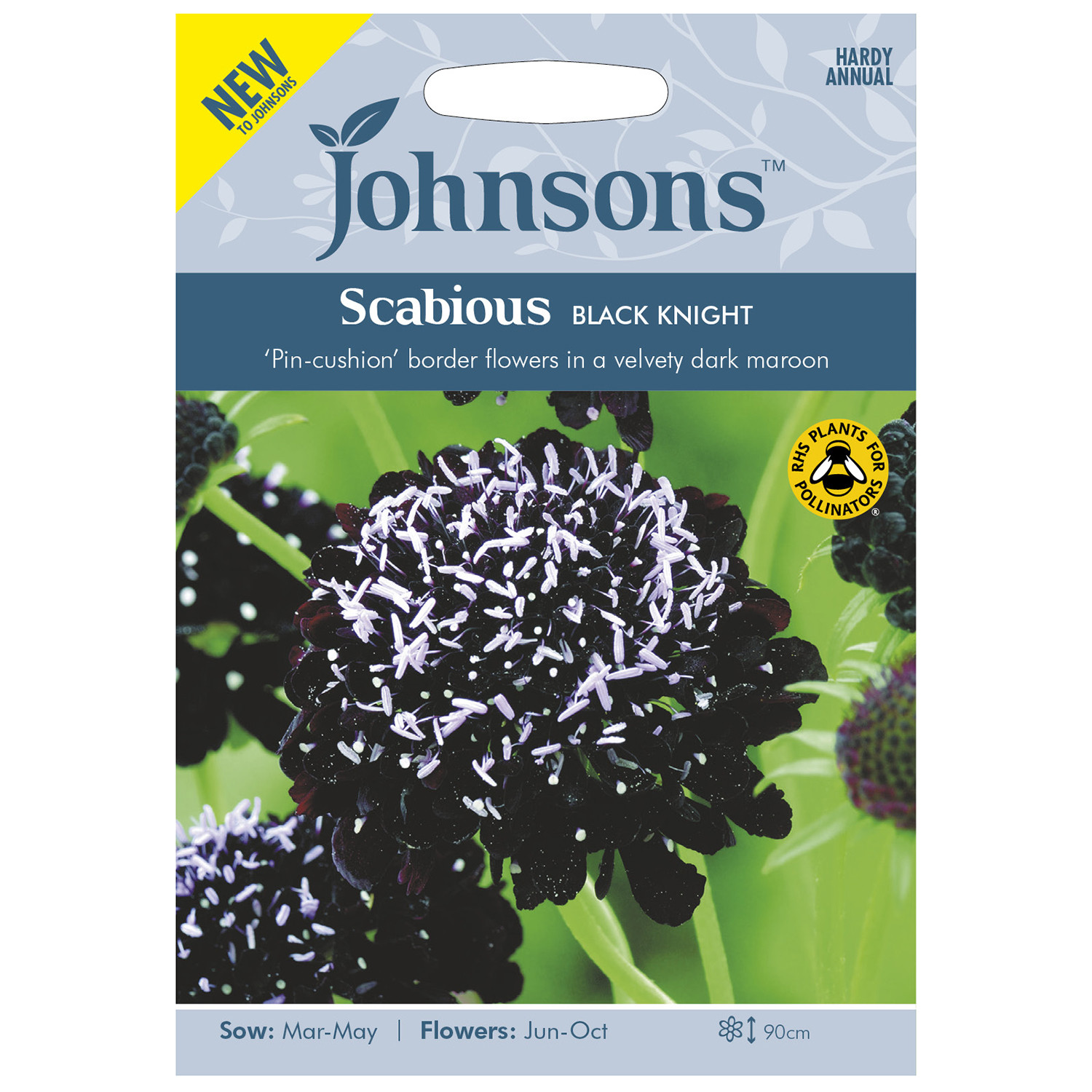 Johnsons Scabious Black Knight Image 1