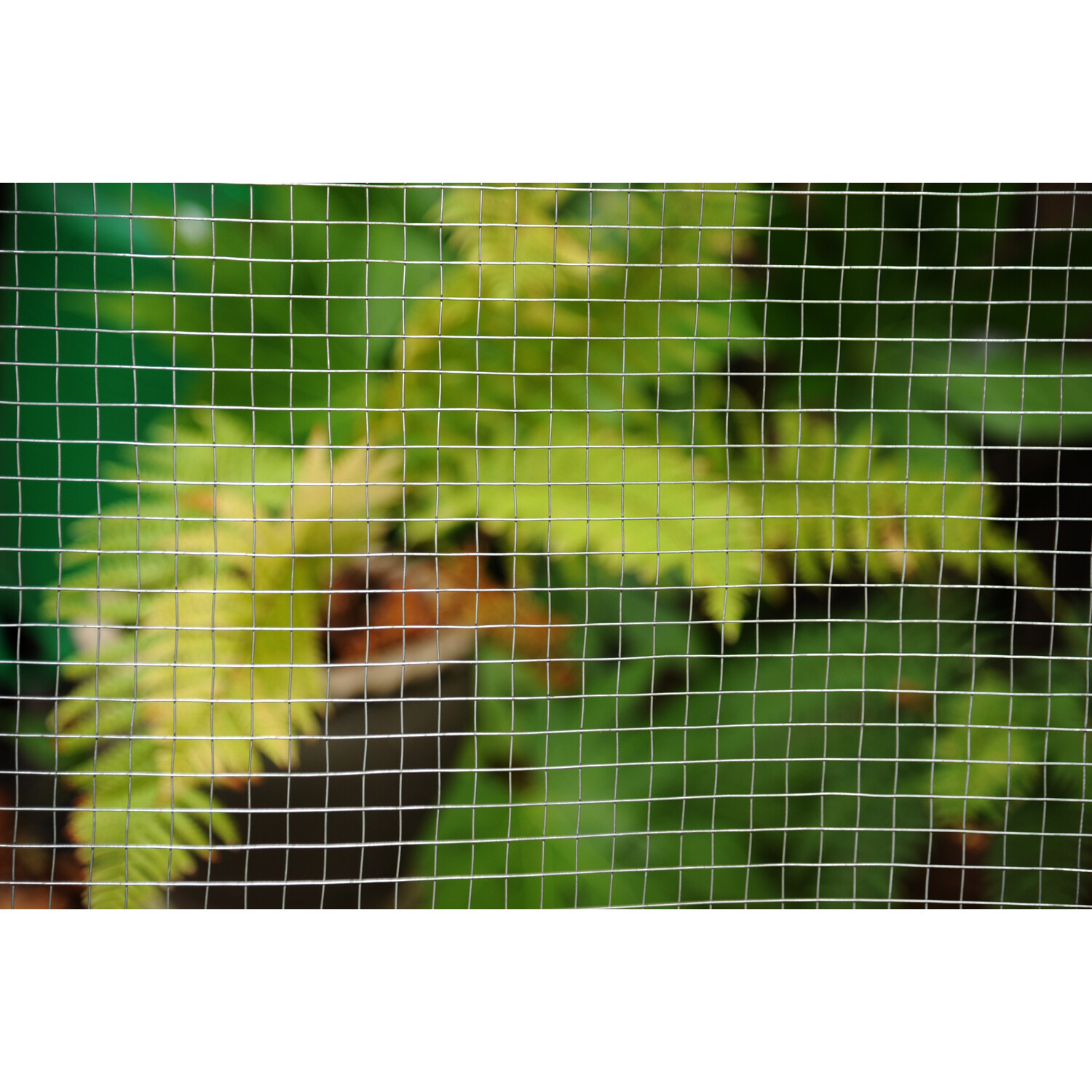 Welded Galvanised Mesh Image 2