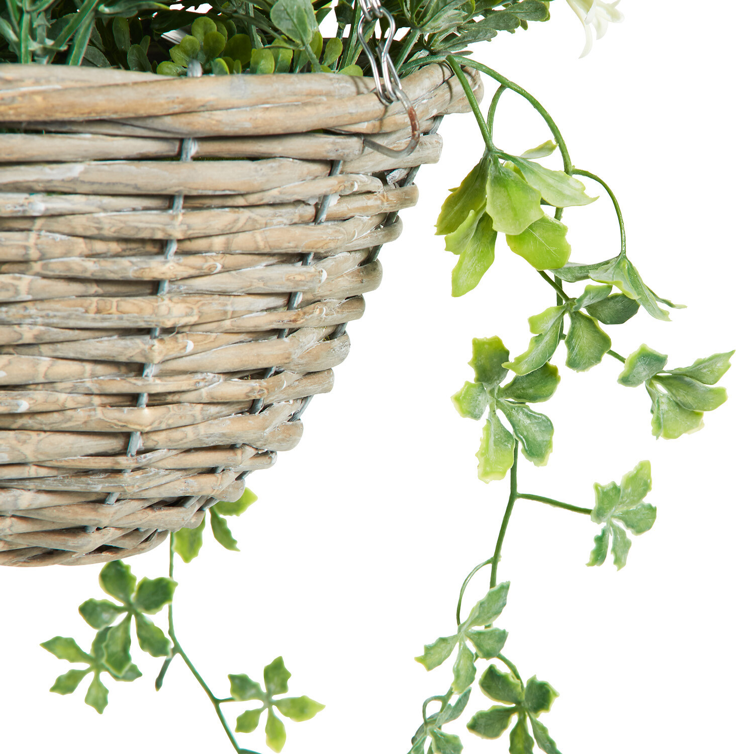 Lavender Hanging Basket - Purple and Green Image 6
