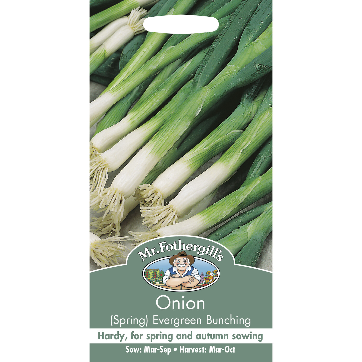 Onion (Spring) Evergreen Bunching Image 1