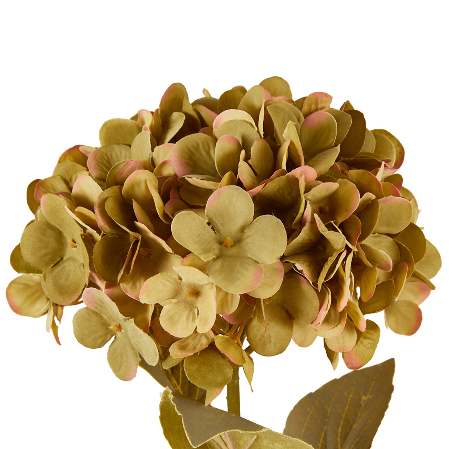 Assorted Hydrangea Stem - Purple or Green Image 4