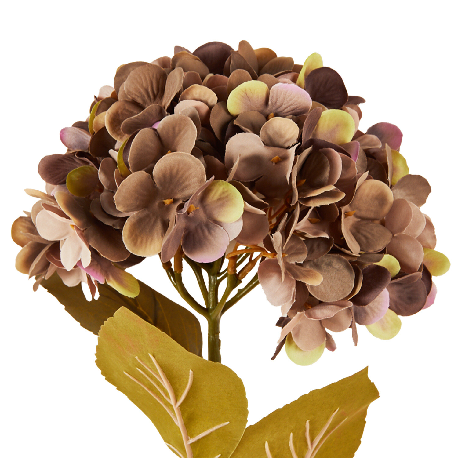 Assorted Hydrangea Stem - Purple or Green Image 2