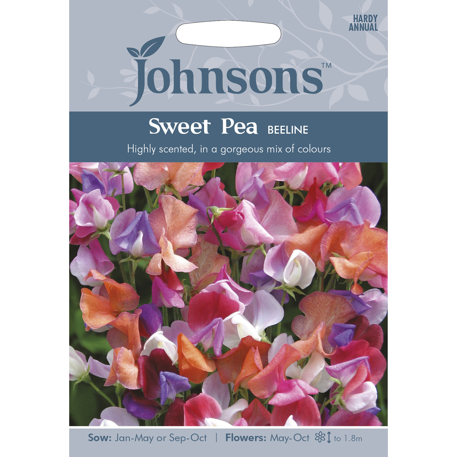 Johnsons Pack of Beeline Sweet Pea Flower Seeds Image 1