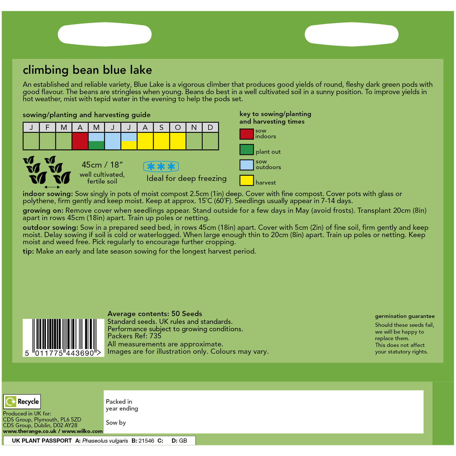 Climbing Bean Blue Lake Seeds Green Image 2