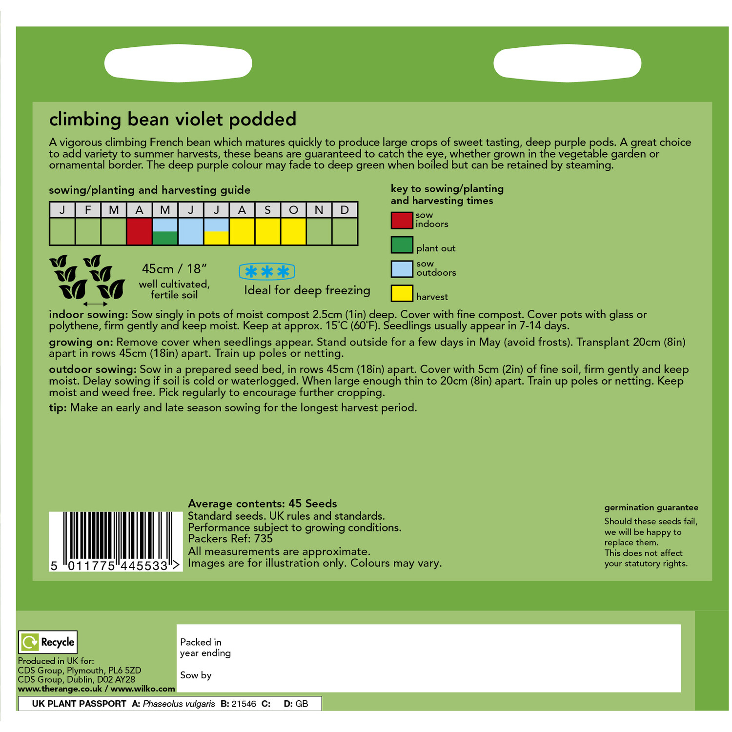 Climbing Bean Violet Podded Seeds Voilet Image 2