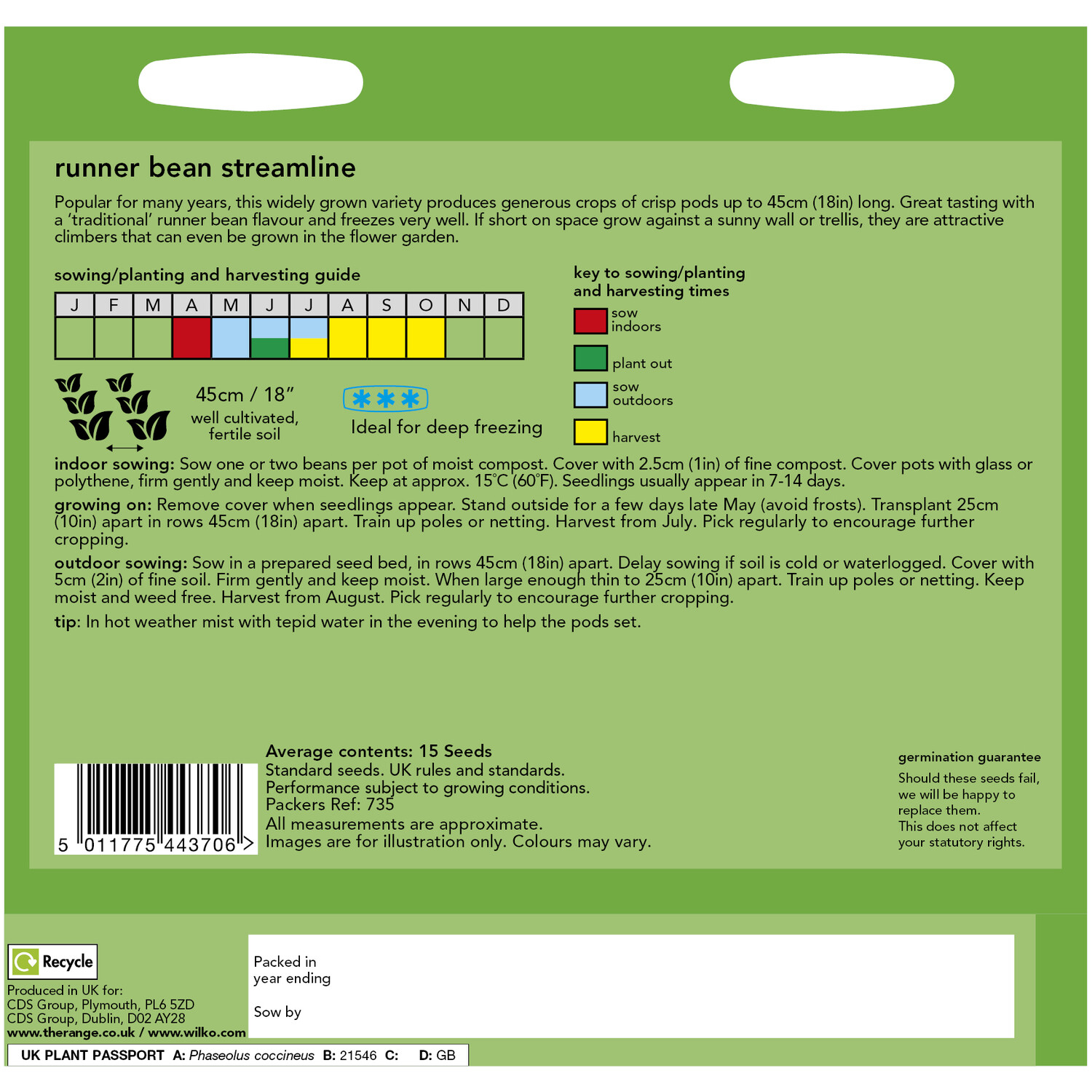 Runner Bean Streamline Seeds Image 2