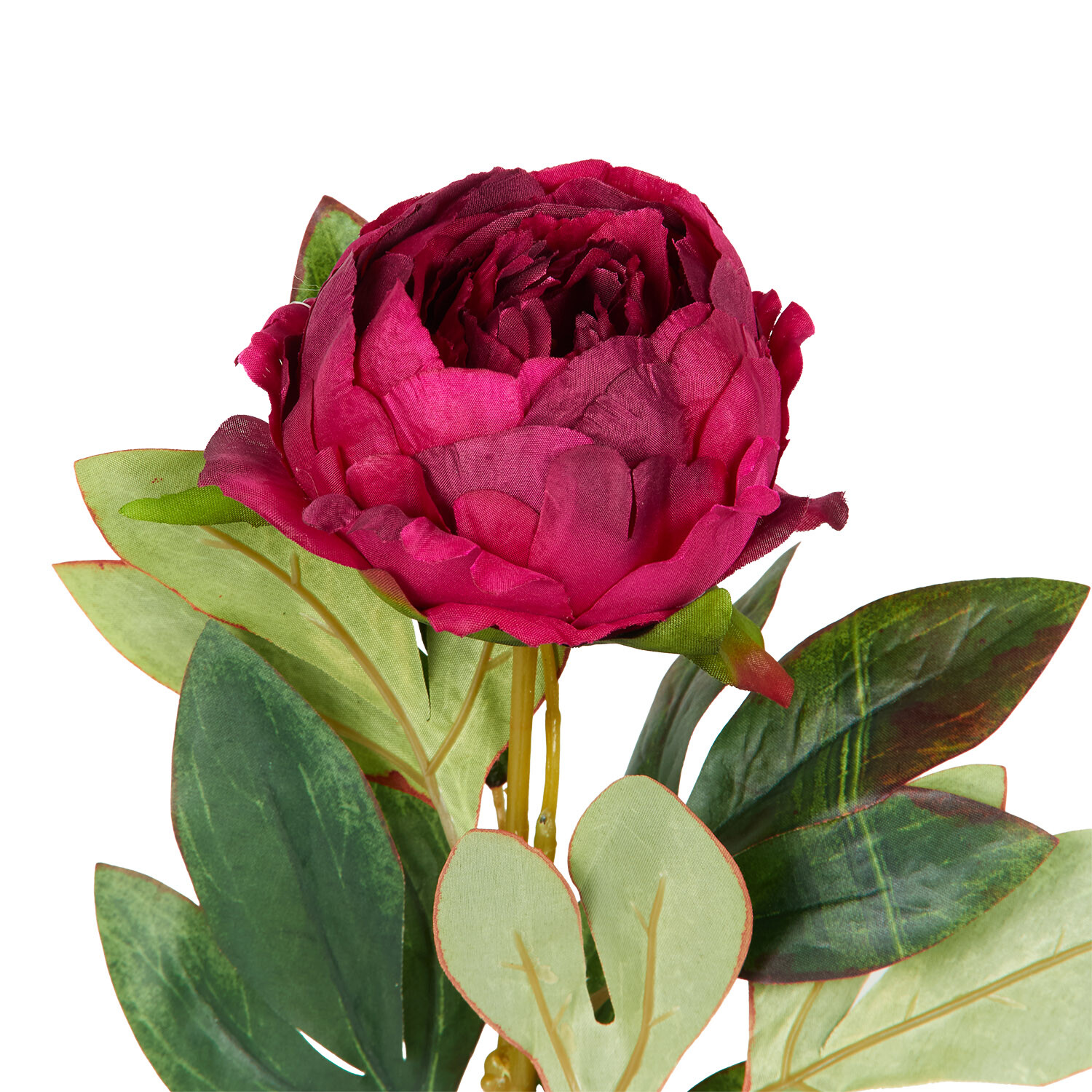 Faux Millicent Peony Image 9