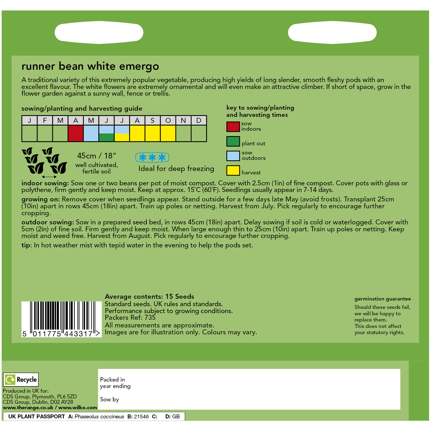 Wilko Runner Bean White Emergo Seeds Image 2