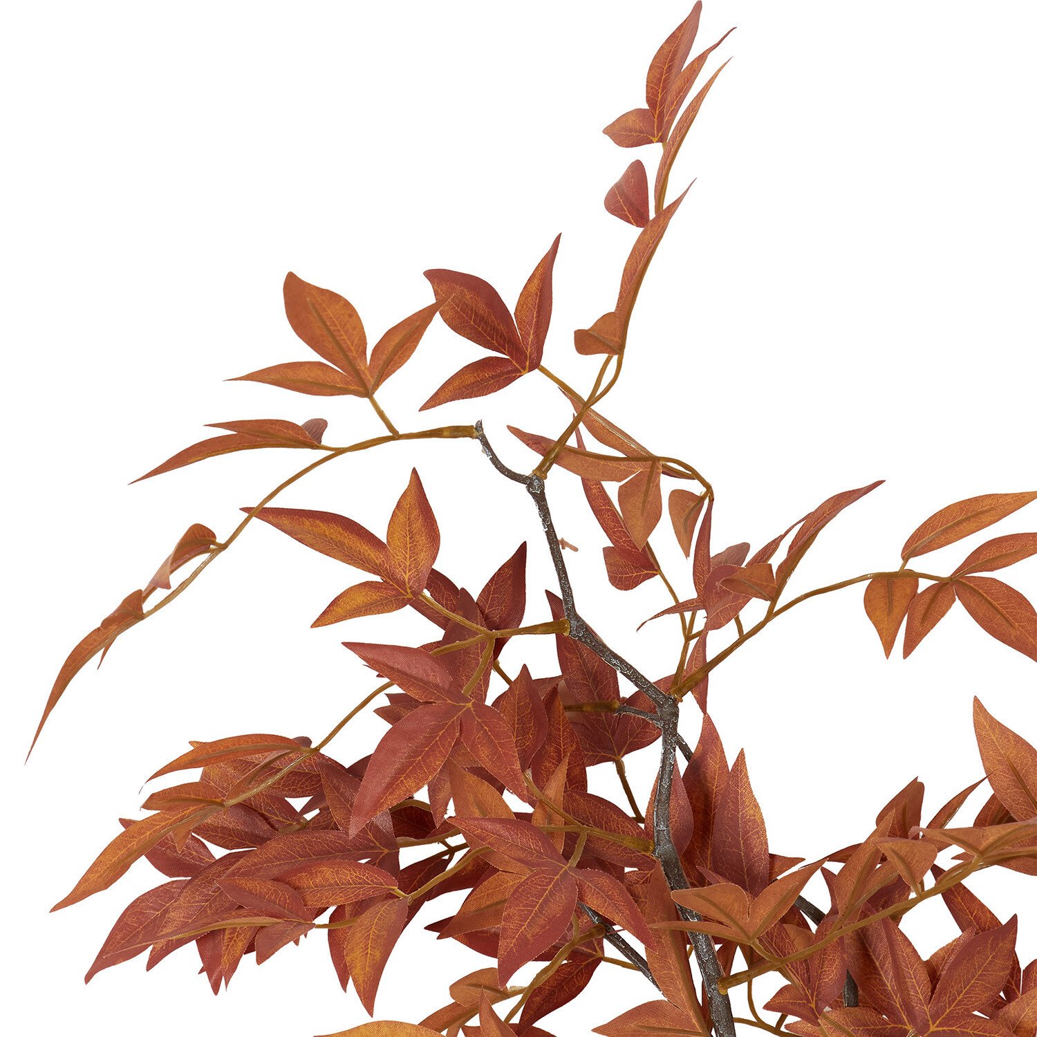 Bamboo Branch Image 3