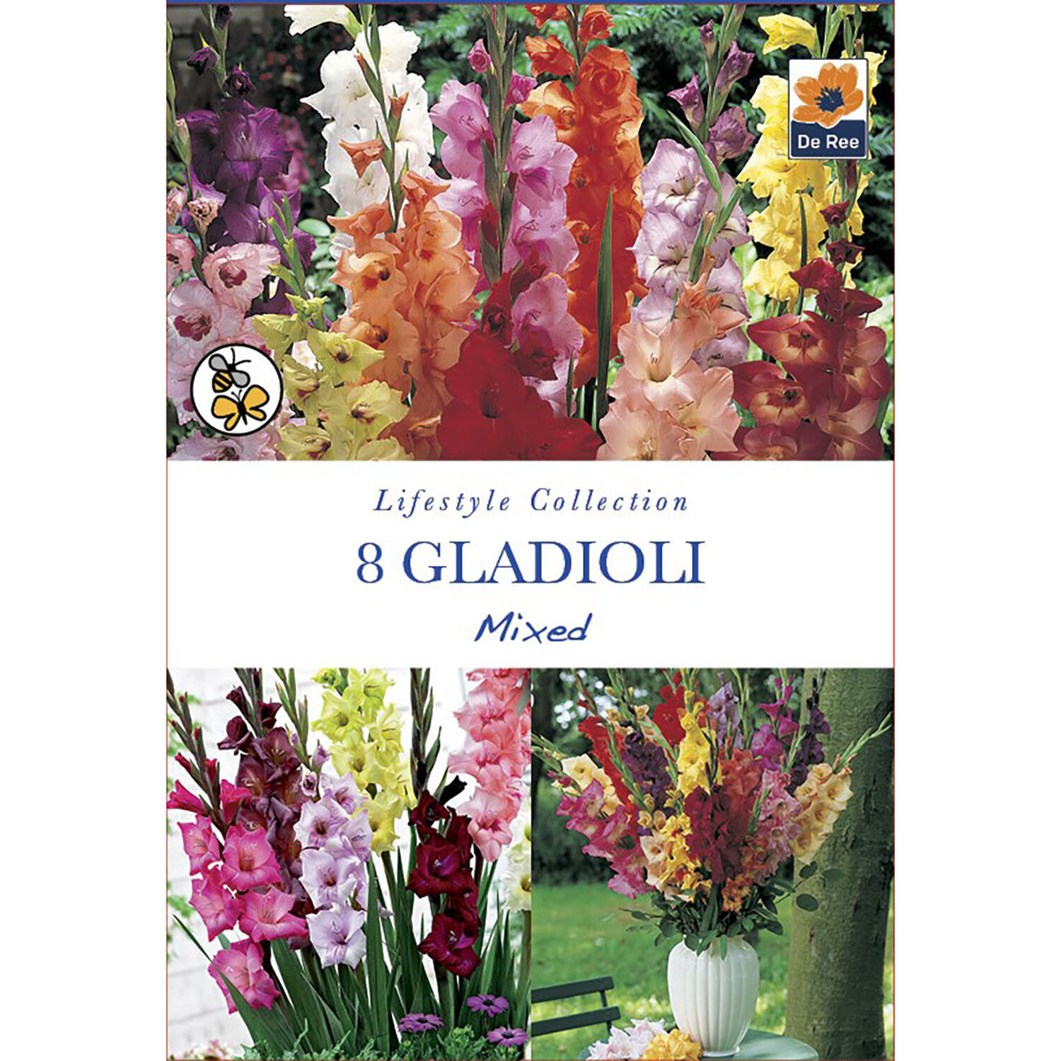 Lifestyle Bulbs - Multicolour Image 11
