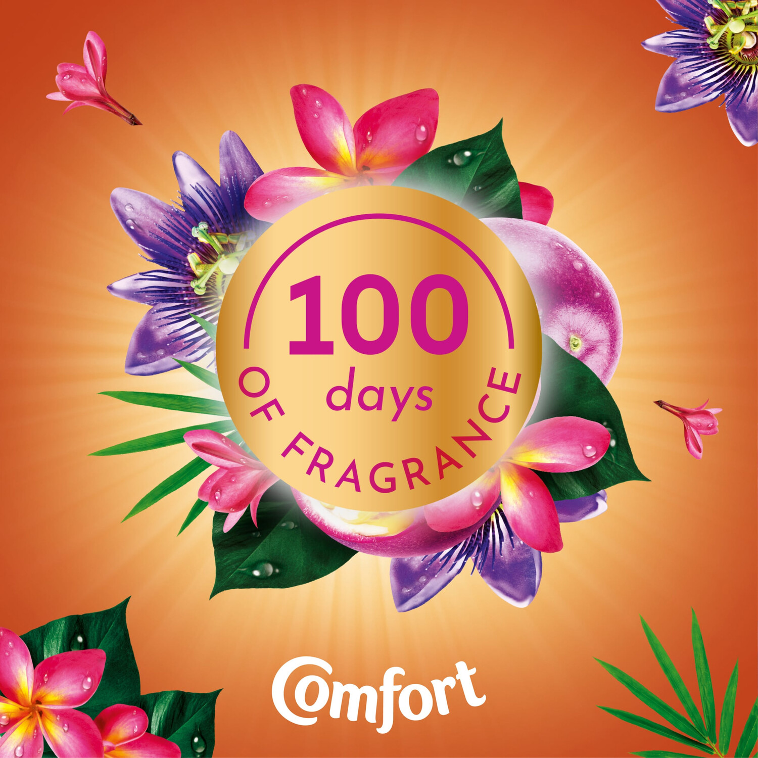 Comfort Creations Ultra Concentrated Fabric Conditioner Passion Bloom Image 6