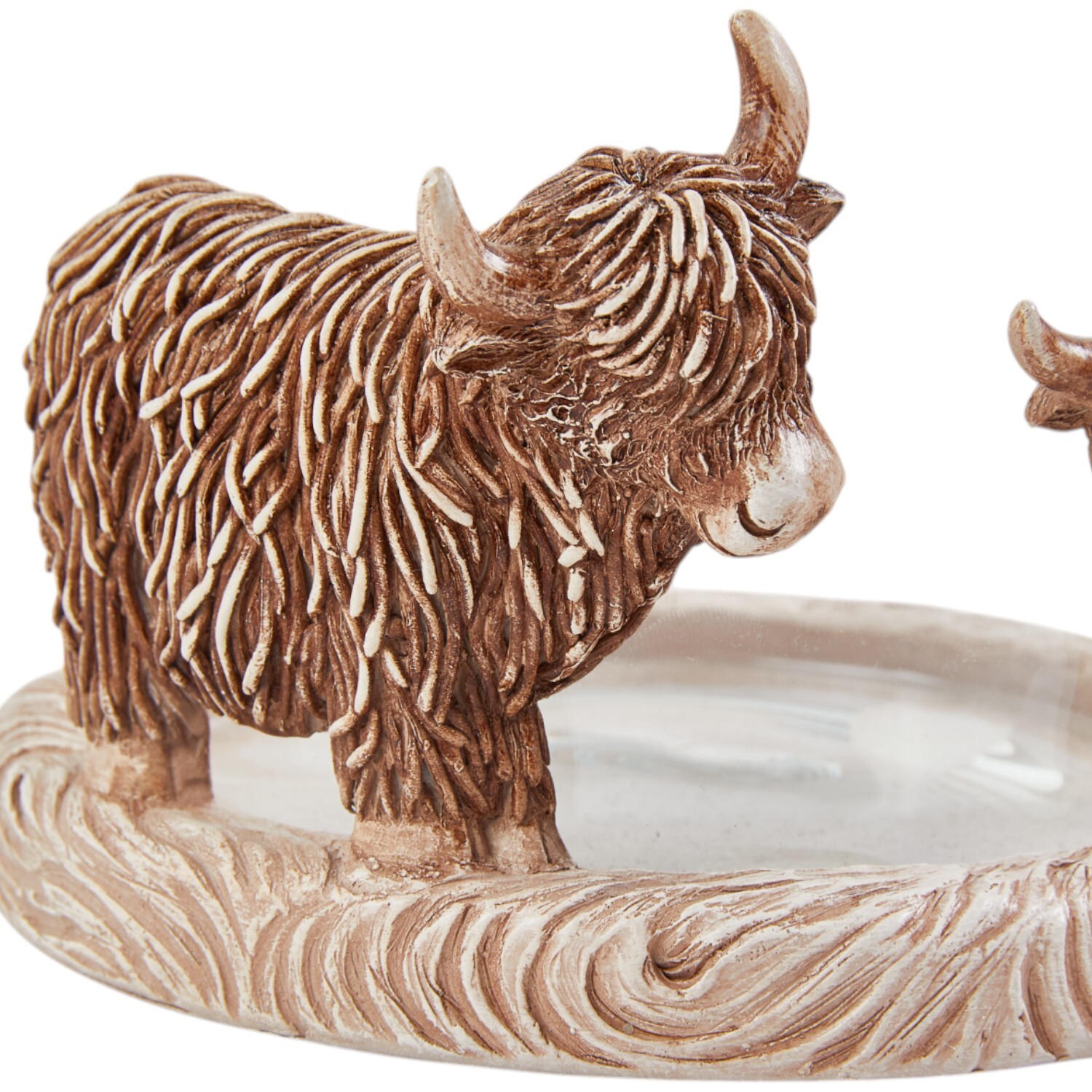 Highland Cow Hurricane Brown Image 5