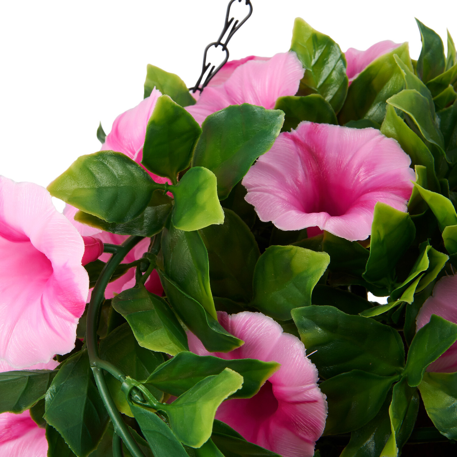 Petunias Hanging Basket - Pink Image 5