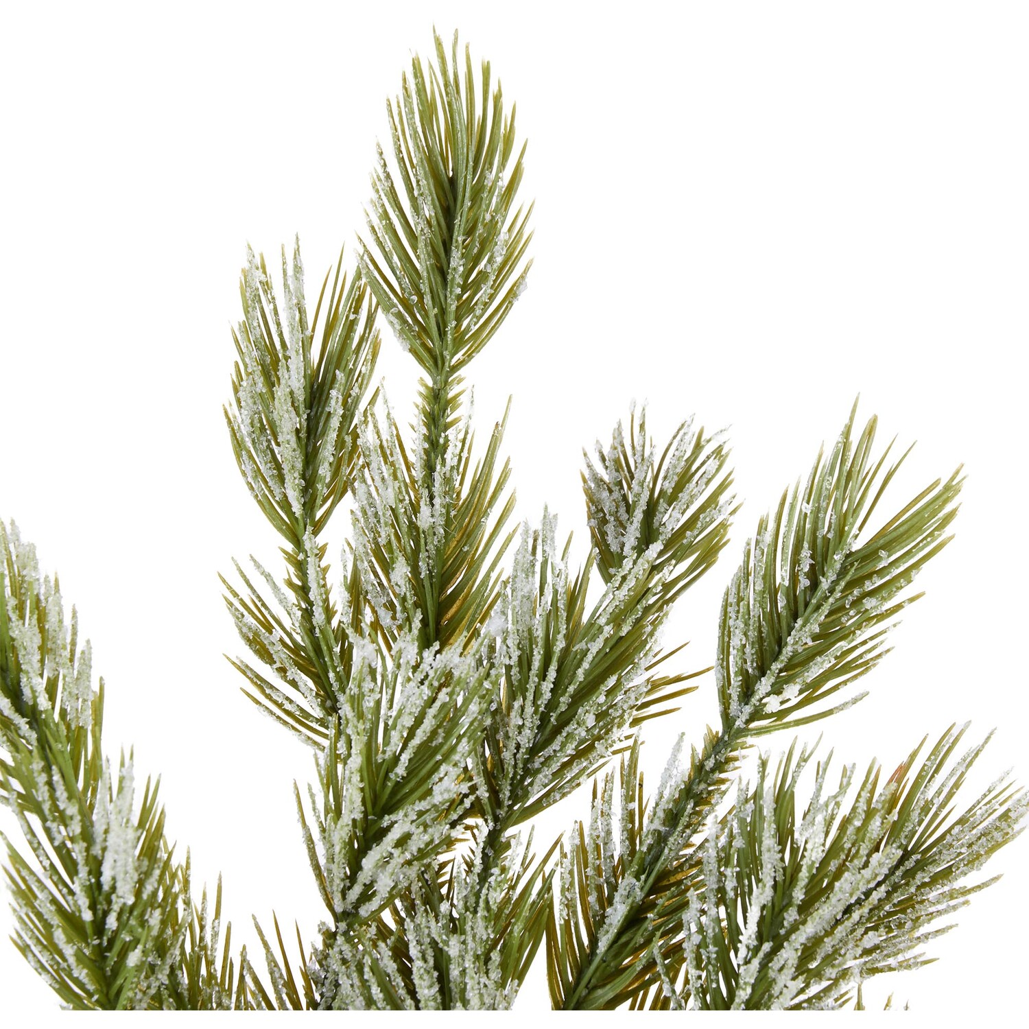 Iced Pine Pick - Green Image 3