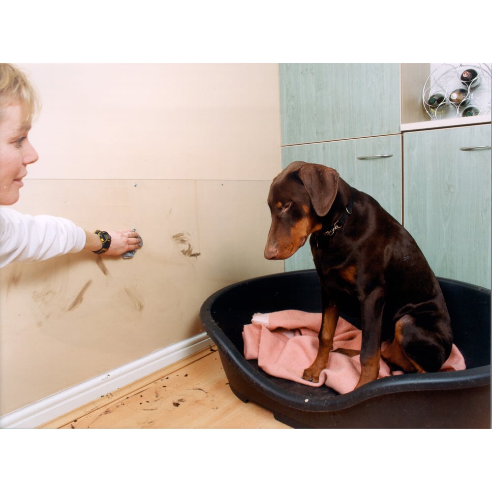 Vistalux 6 inch PVC ASB Superweight Roof Sheet 3660 x 1.3mm Image 2