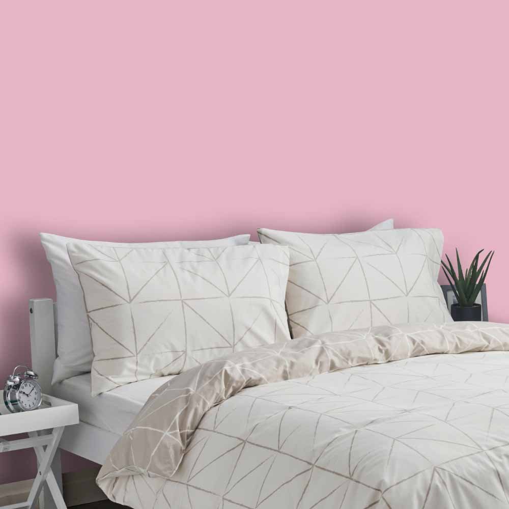 Wilko Walls & Ceilings Cane Matt Emulsion Paint 2.5L Image 5