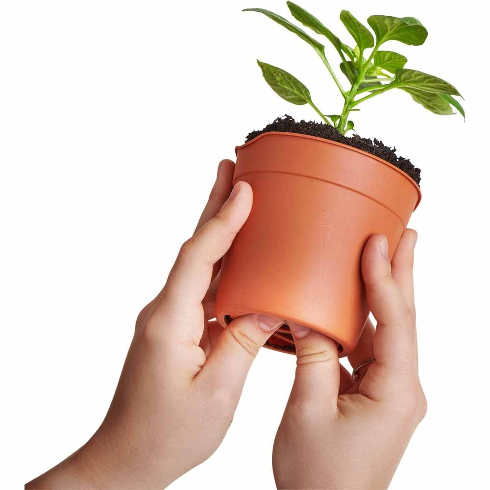 Clever Pots Small Easy Release Propagation Pots 9.8 x 8.7cm 5 Pack Image 3