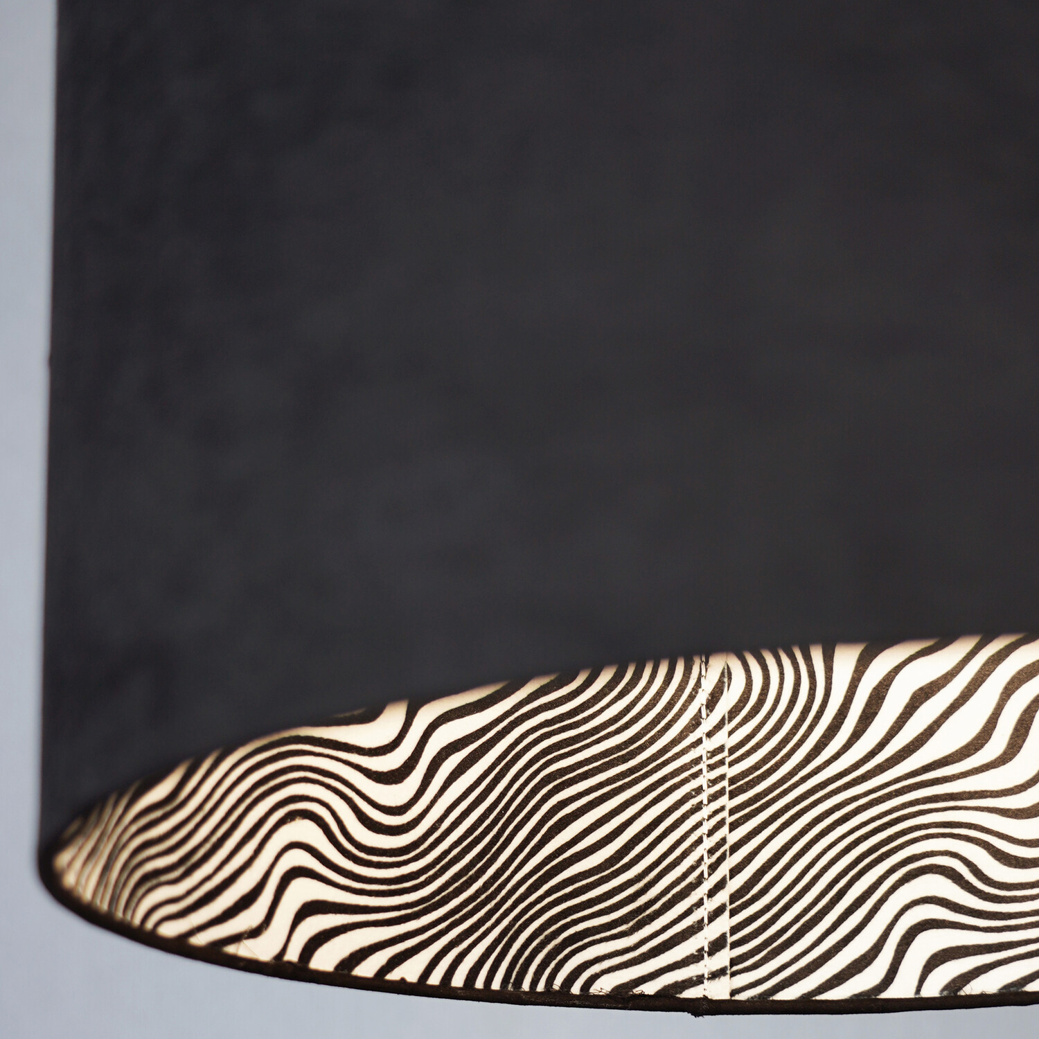 Black Zebra Shade - Black and White Image 3