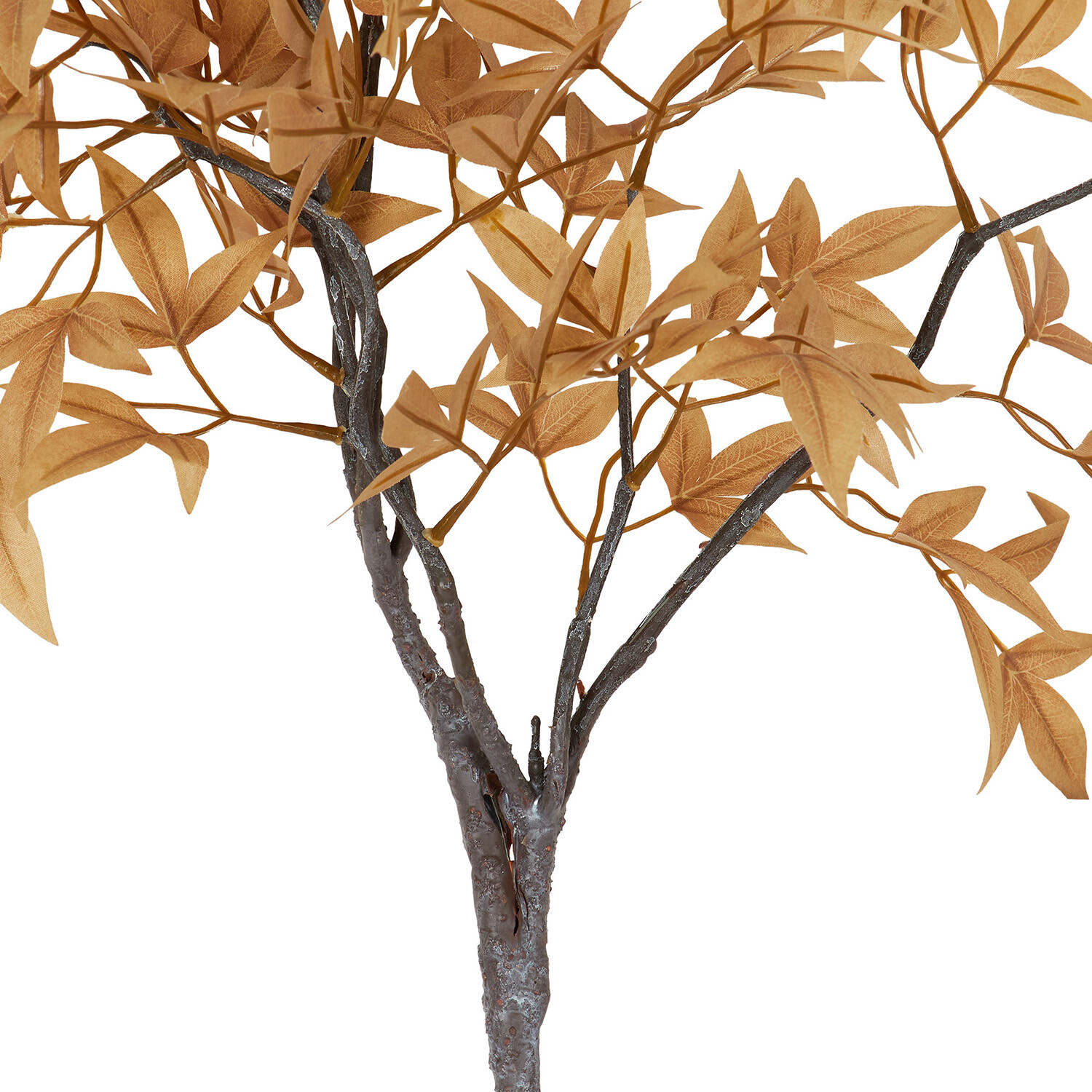 Bamboo Branch Image 6