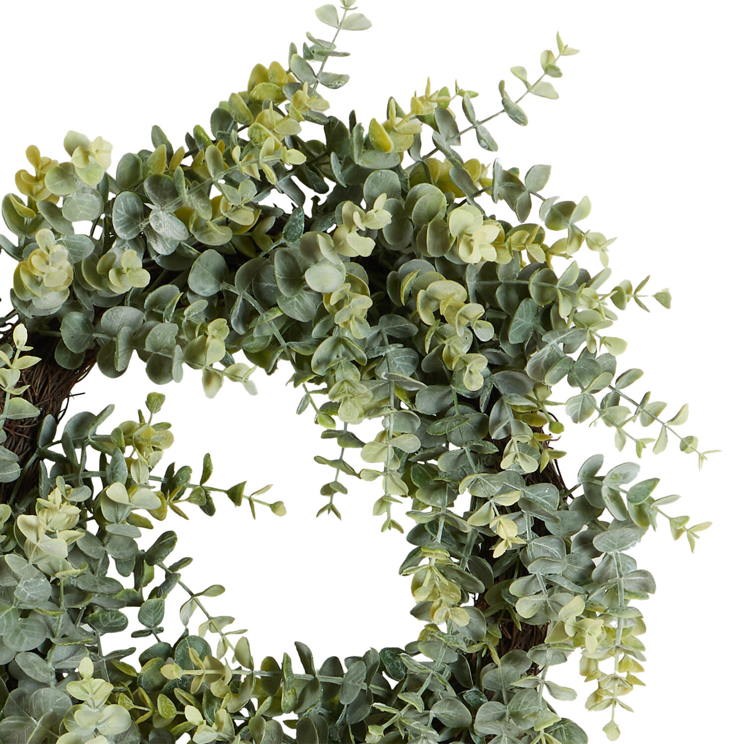 Eucalyptus Wreath 50cm - Green Image 2
