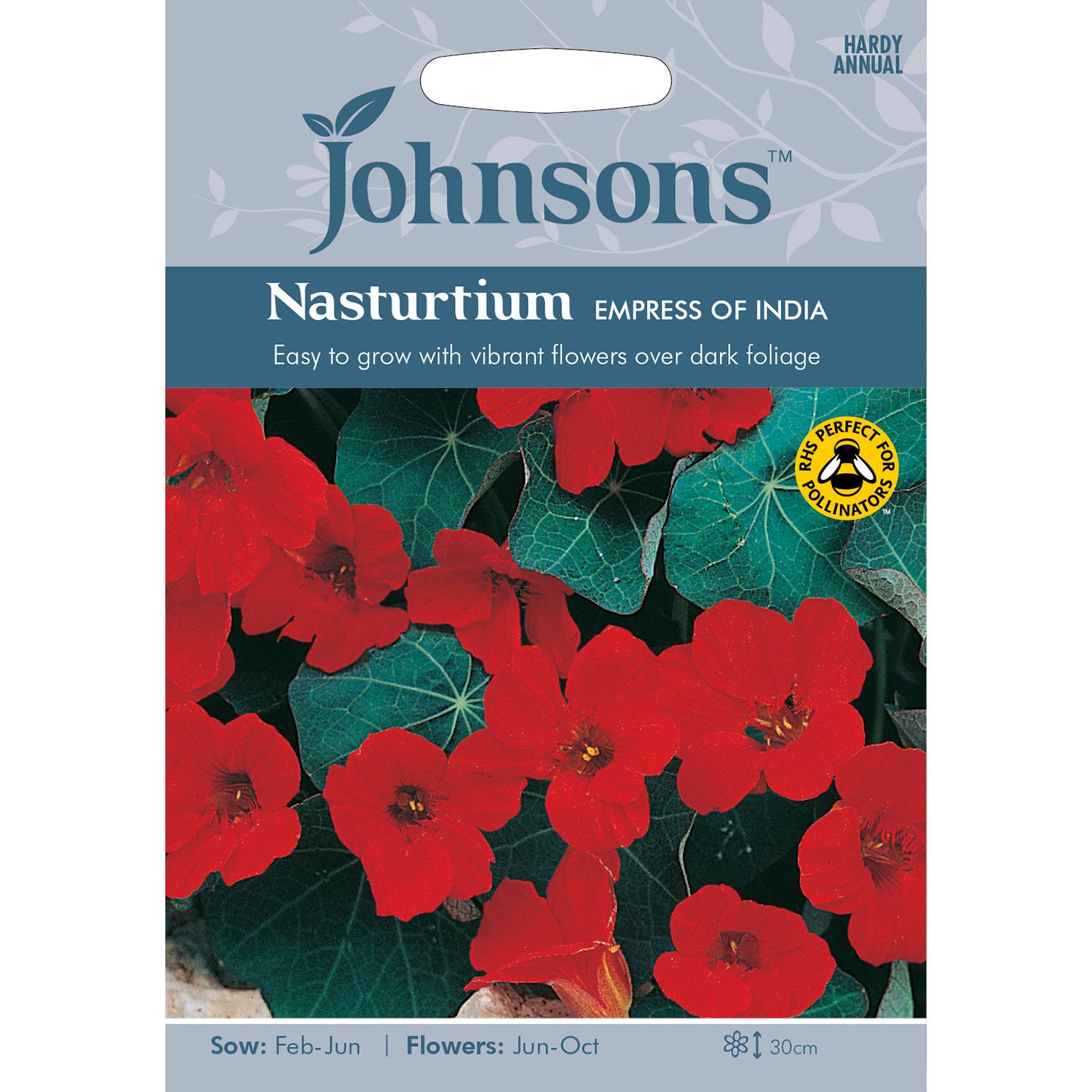 Johnsons Nasturtium Empress of India Flower Seeds Image 2