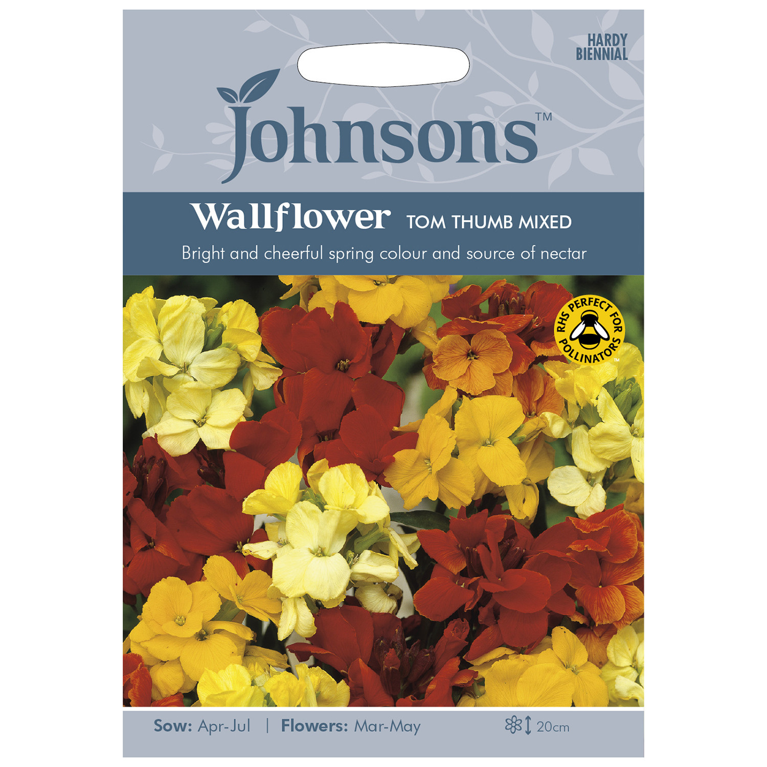 Johnsons Pack of Tom Thumb Mixed Wallflower Seeds Image