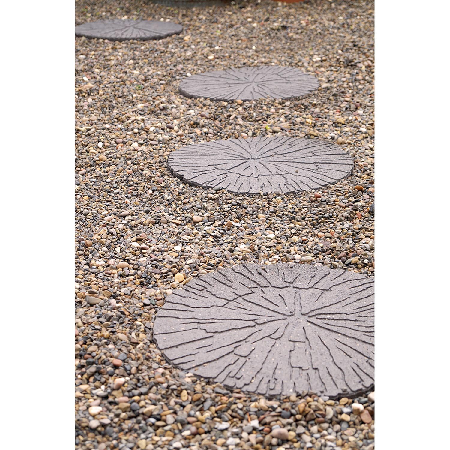 Cracked Log Stepping Stone - Earth Image 4