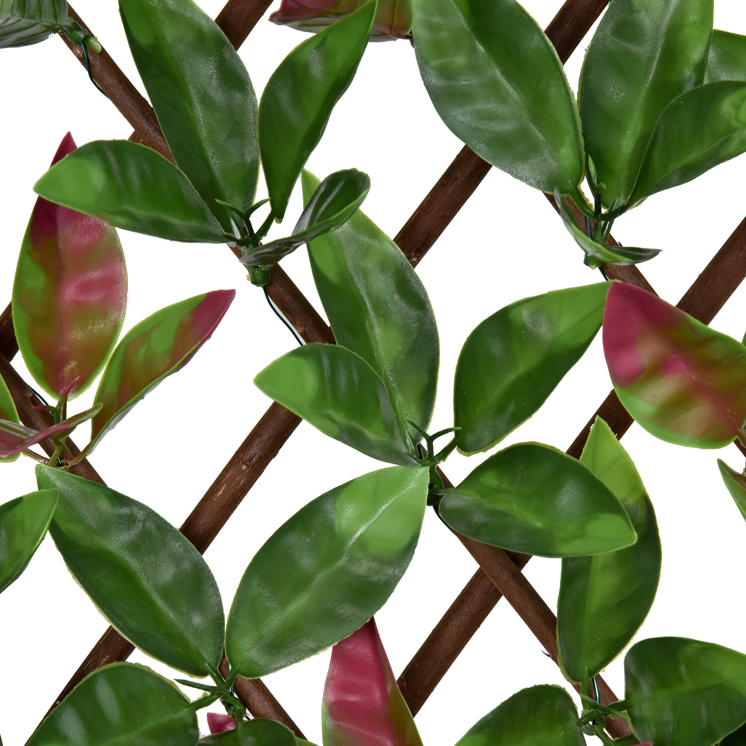 Expandable Red Robin Leaf Trellis Green and Red Image 2