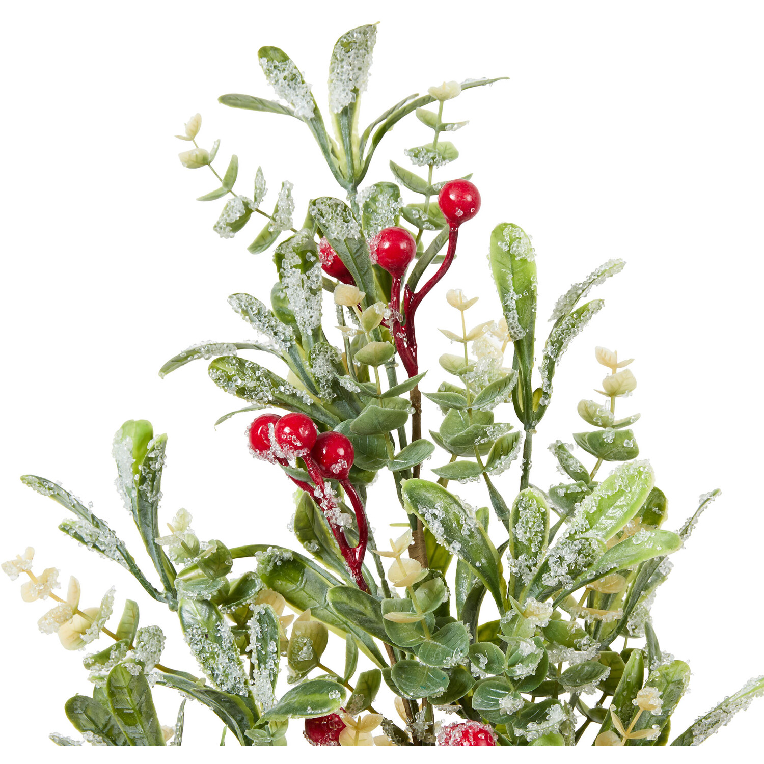 Iced Mistletoe and Red Berry Pick - Green Image 3