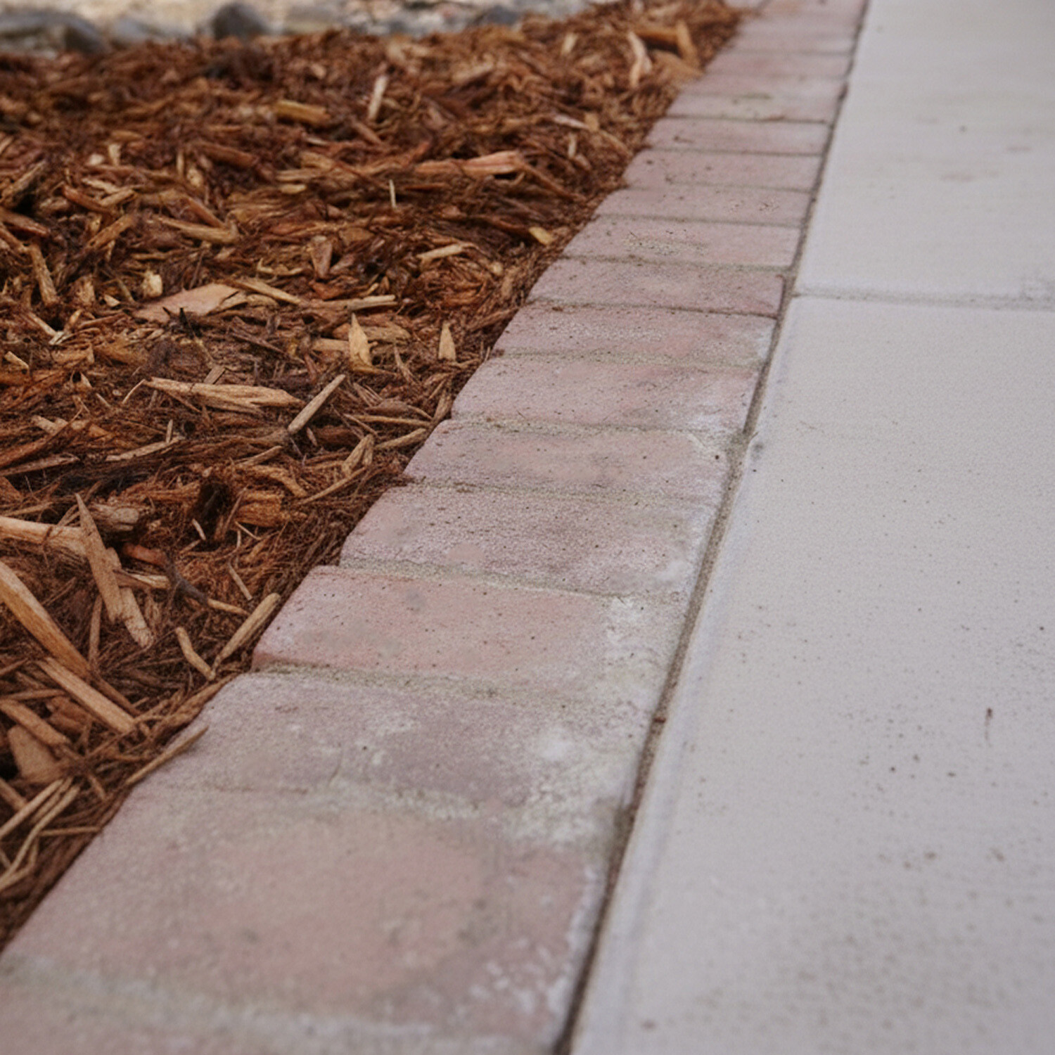 Easihold Ultra Strong Rock and Mulch Glue Image 3