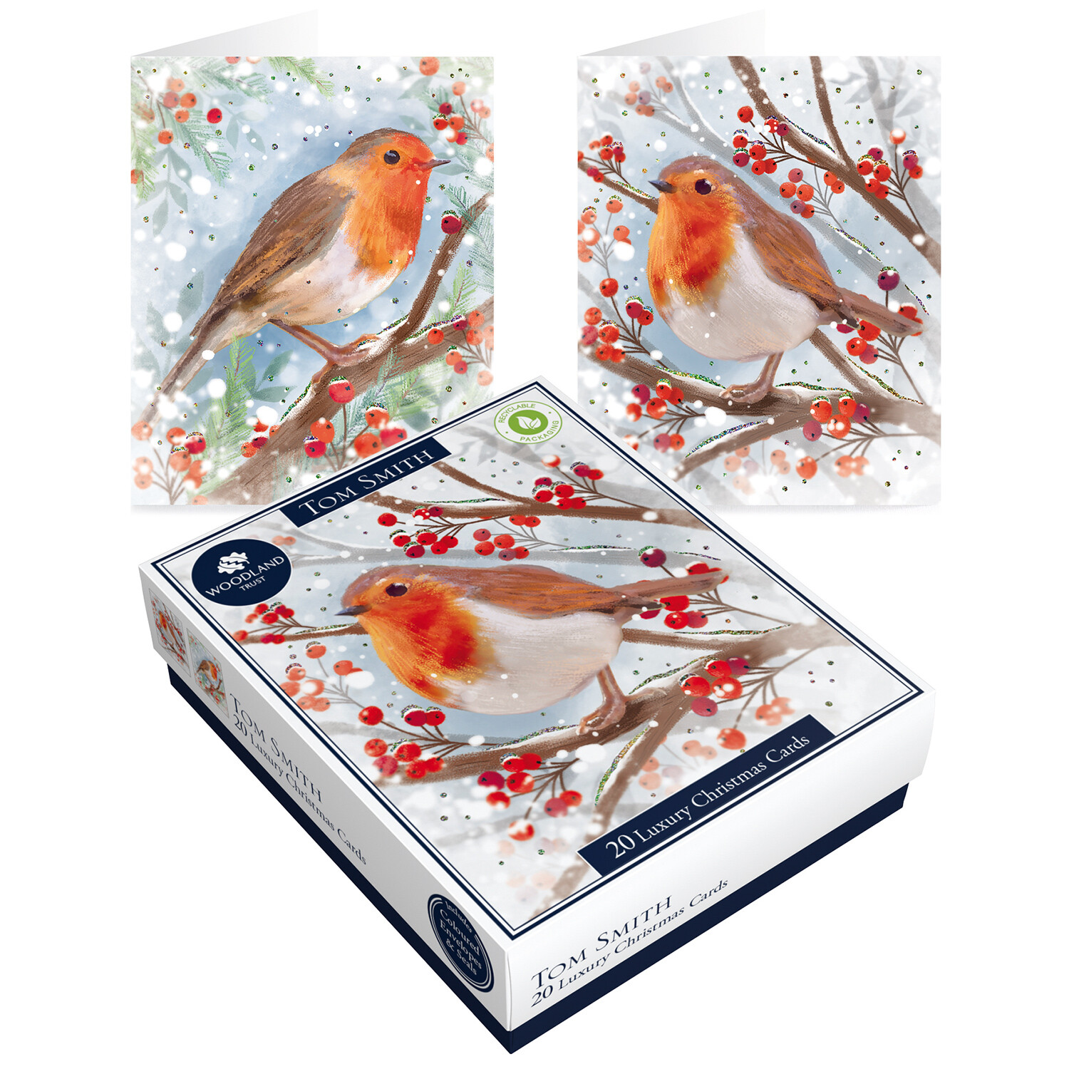 Pack of 20 Luxury Boxed Robin Christmas Cards - Multicolour | Homebase