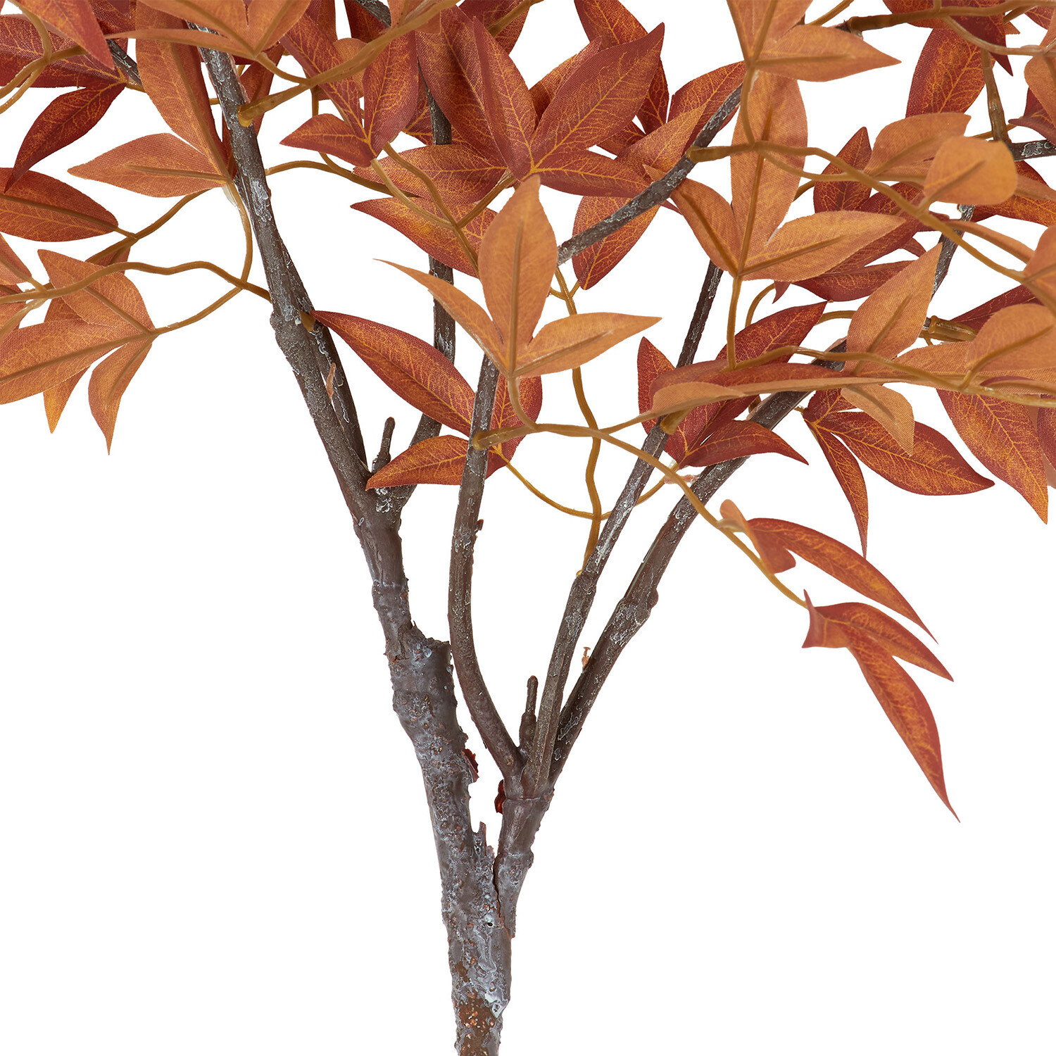 Bamboo Branch Image 2