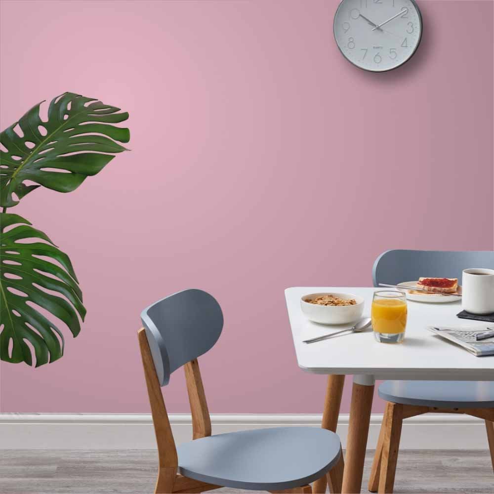 Wilko Walls & Ceilings Cane Silk Emulsion Paint 2.5L Image 4