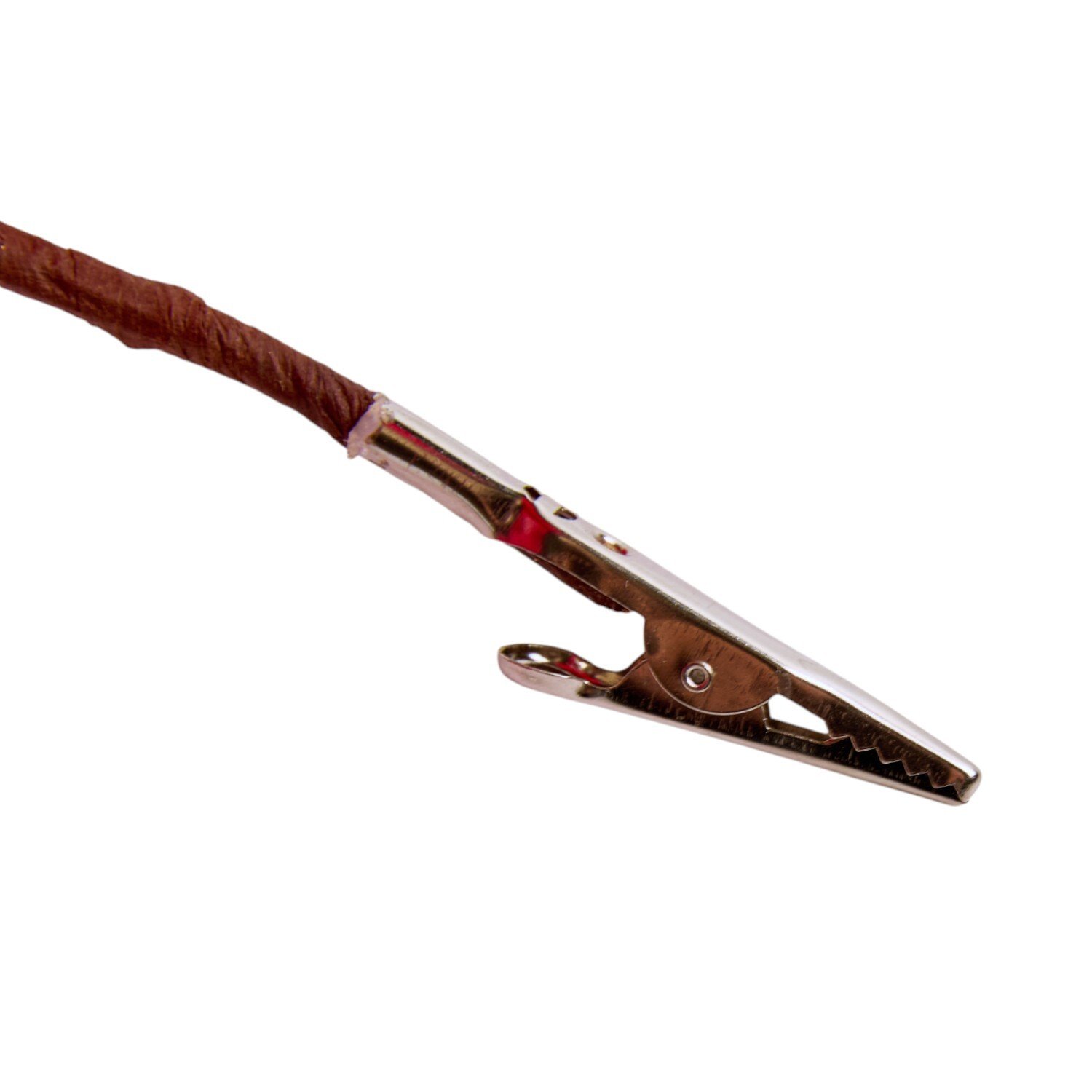 Rich Magnolia Decoration Red Image 3