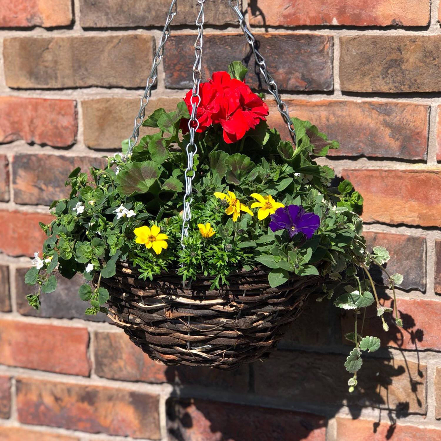 Summer Mixed Rattan Hanging Basket - Multicolour Image 1