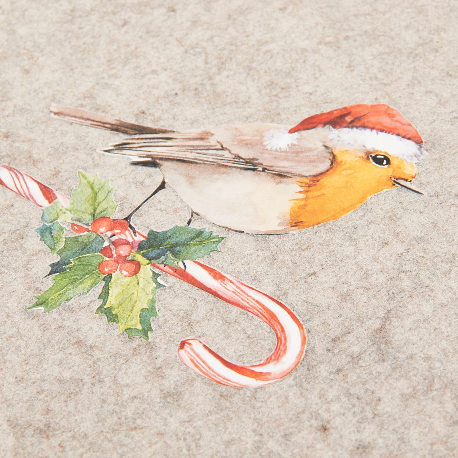 Set of 4 Robin Placemats and Coasters - Brown Image 3