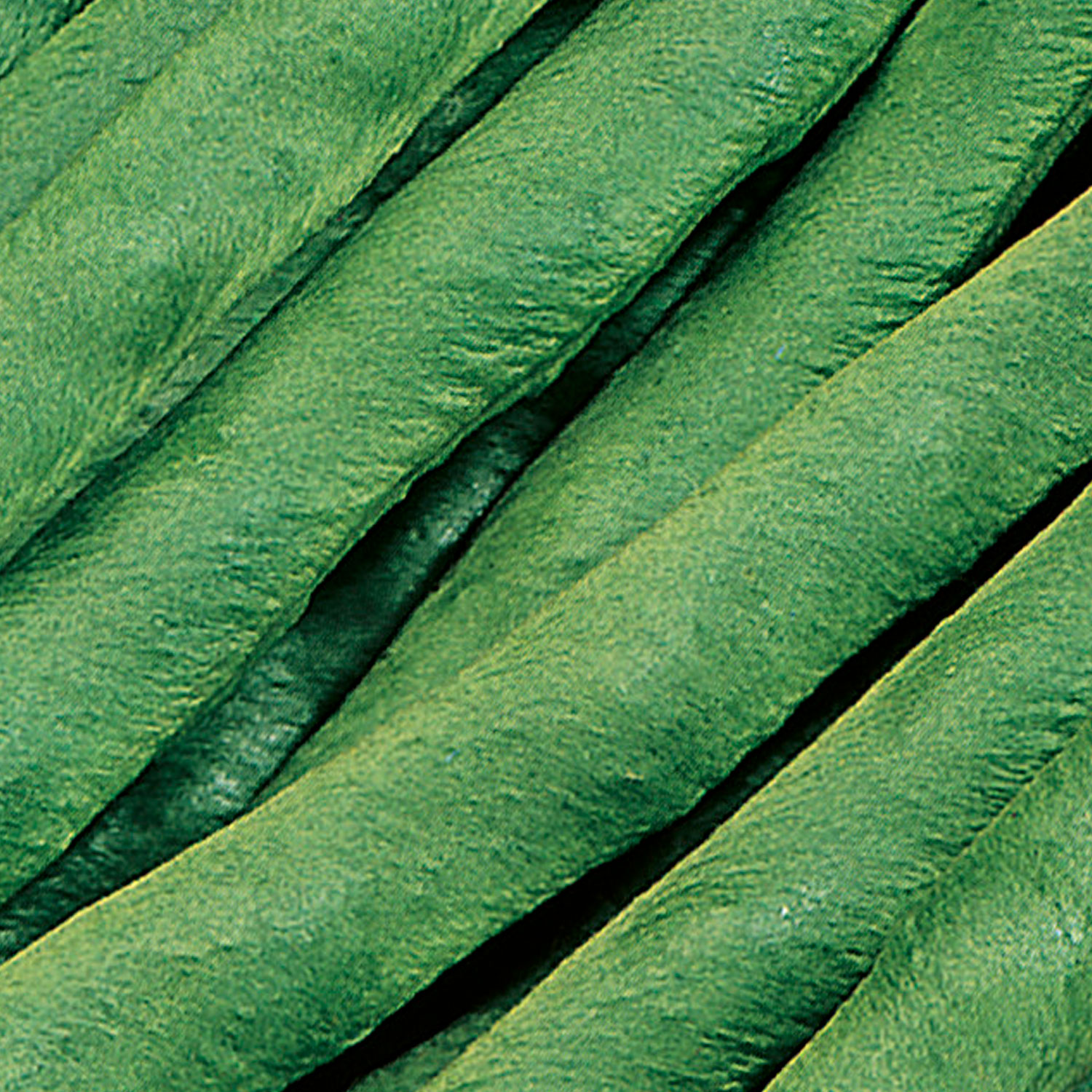 Johnsons Streamline Runner Bean Seeds Image 1