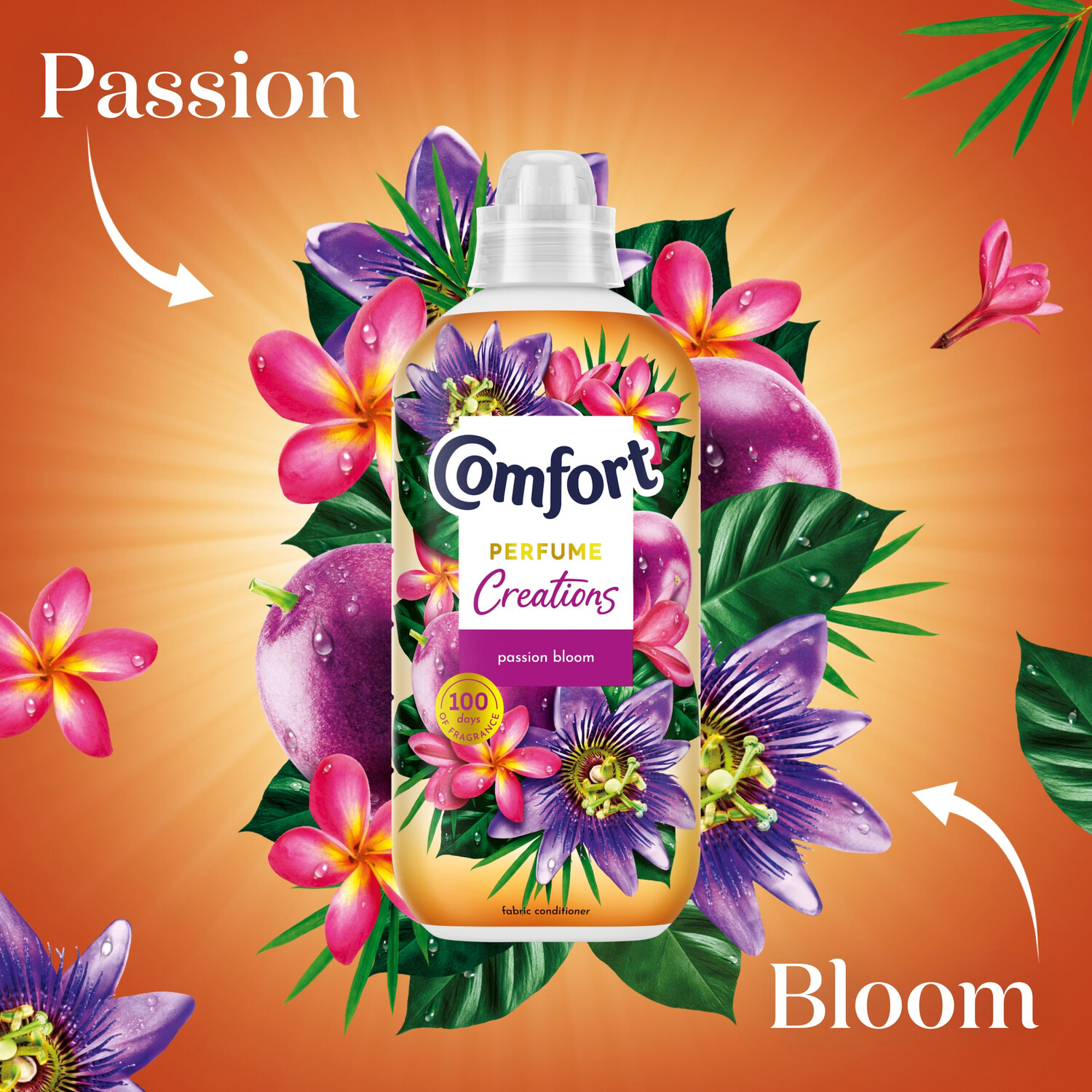 Comfort Creations Ultra Concentrated Fabric Conditioner Passion Bloom Image 5