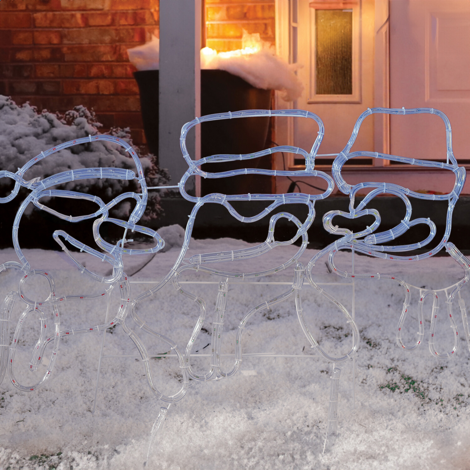 Festive Friends Rope Light Image 4