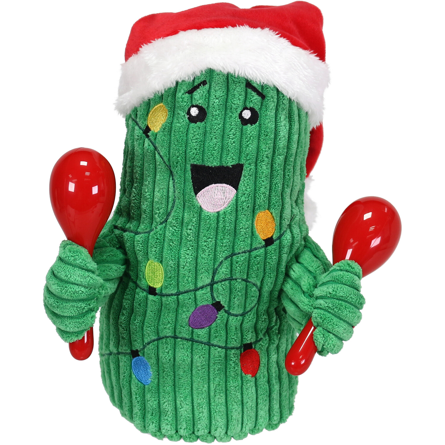 Christmas Cactus Image