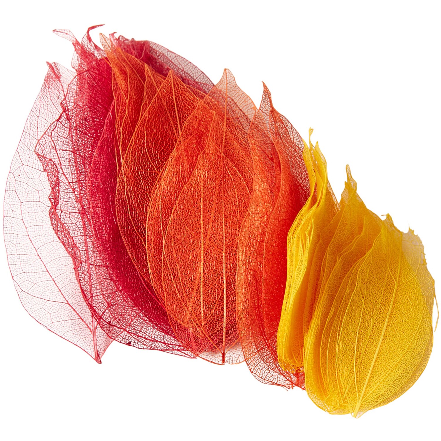 Pack of 40 Autumn Skeleton Leaves Image 2