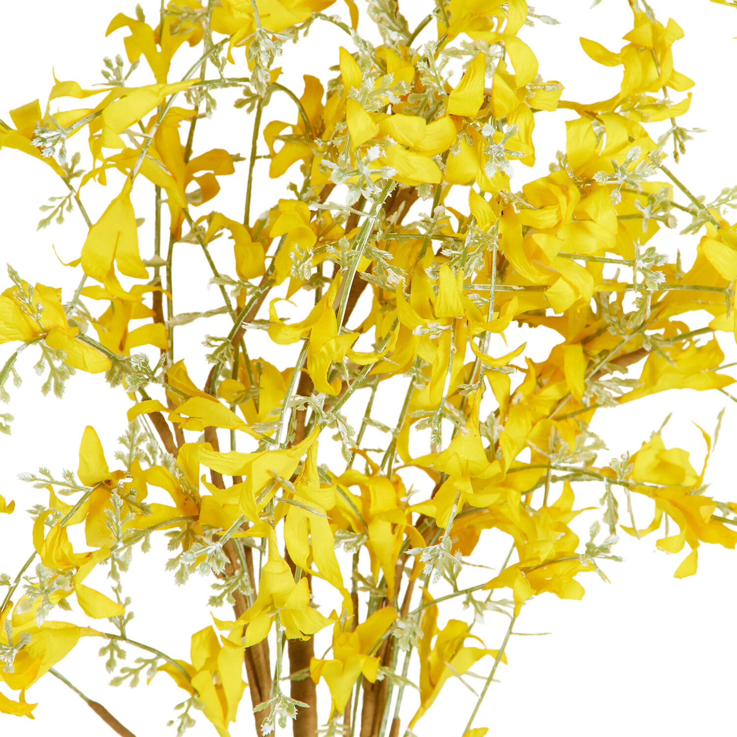 Yellow Forsythia Spray - Yellow Image 3