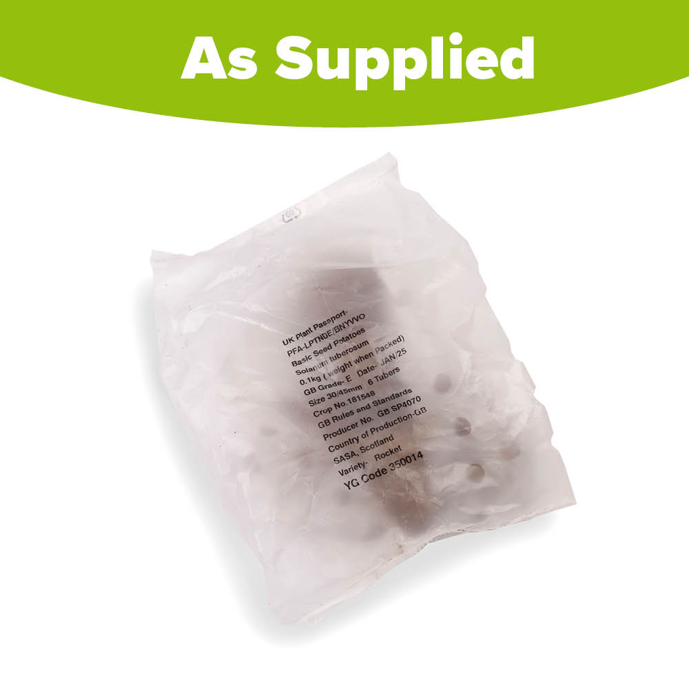 YouGarden Rocket Seed Potato Tubers 6 Pack Image 3