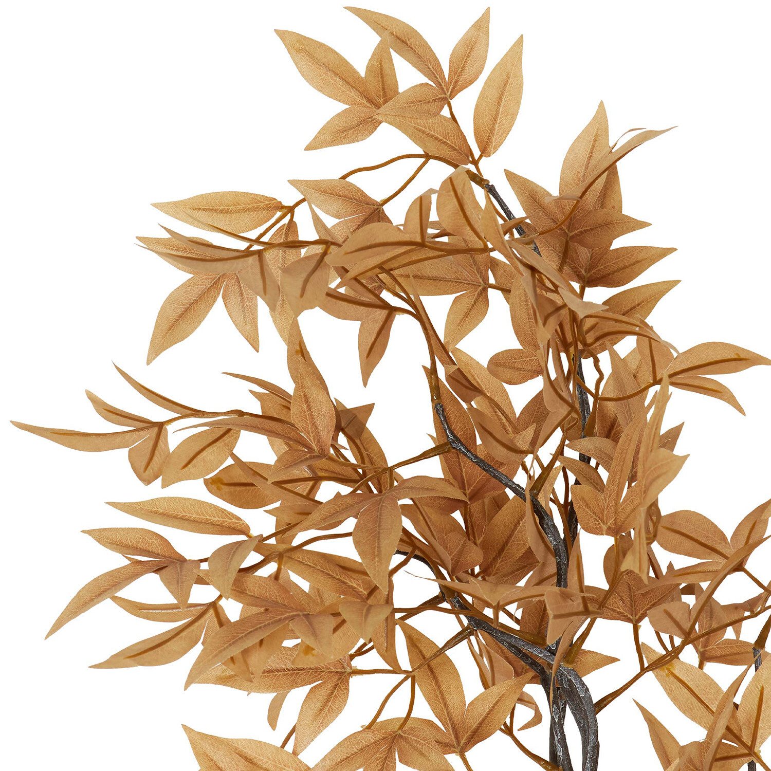 Bamboo Branch Image 7