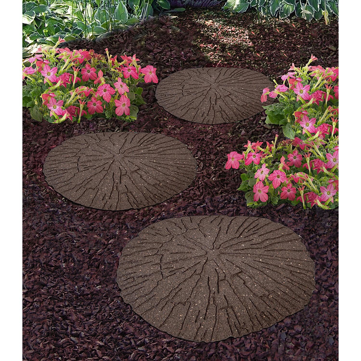 Cracked Log Stepping Stone - Earth Image 2