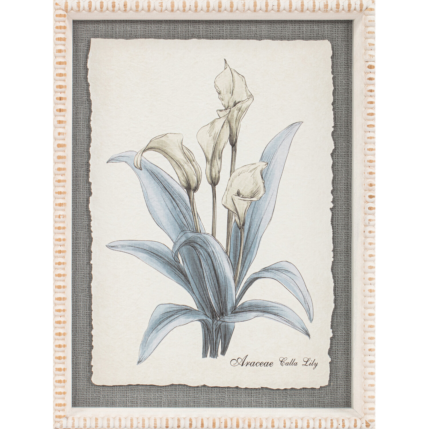 Flower Hand Sketch Effect Framed Art Image 10
