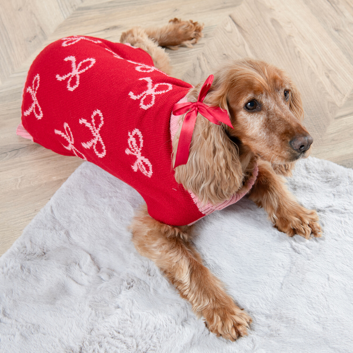 Winter Bow Dog Jumper Red L Image 2